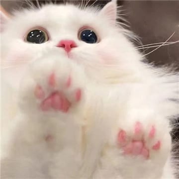 Ảnh đại diện người dùng Hoàng Dũng